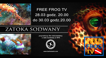 "ZATOKA SODWANY" PREMIERA W FREE FROG TV